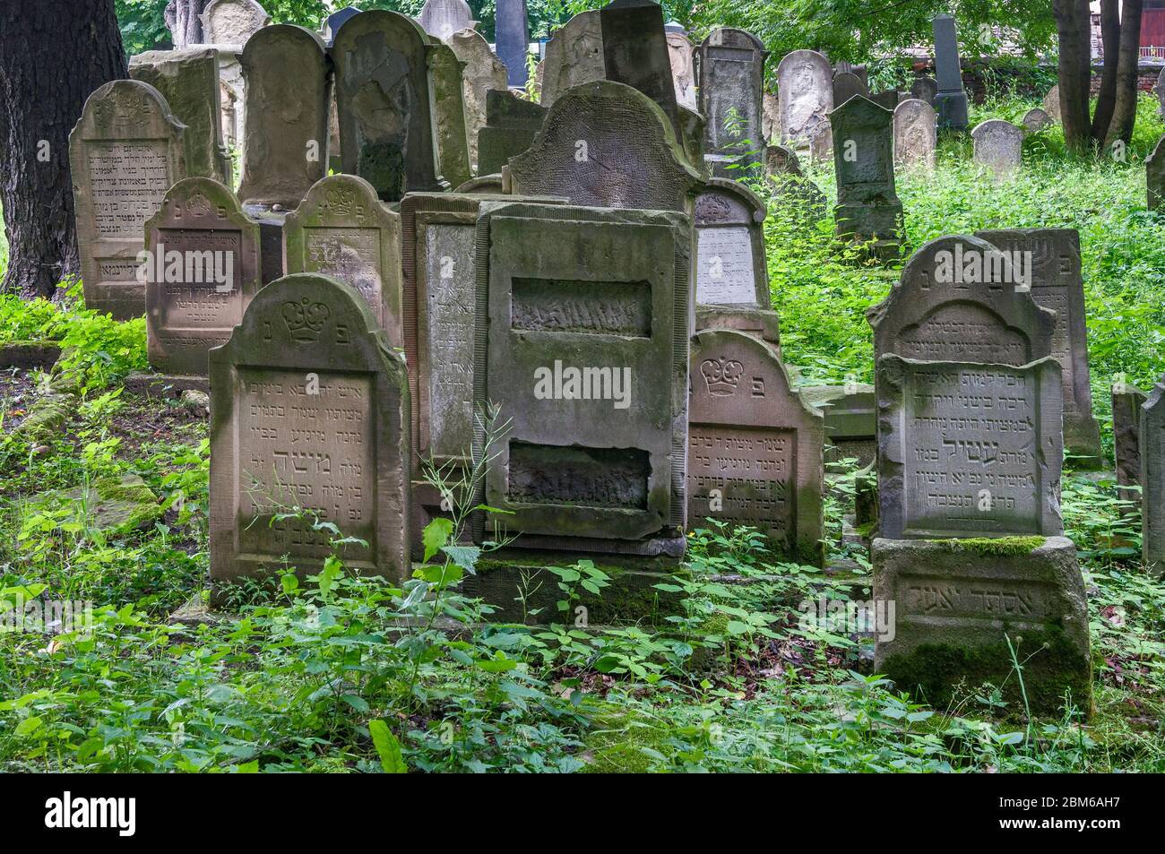Grabsteine auf dem jüdischen Friedhof in Tarnow, Malopolska aka Kleinpolen Region, Polen Stockfoto