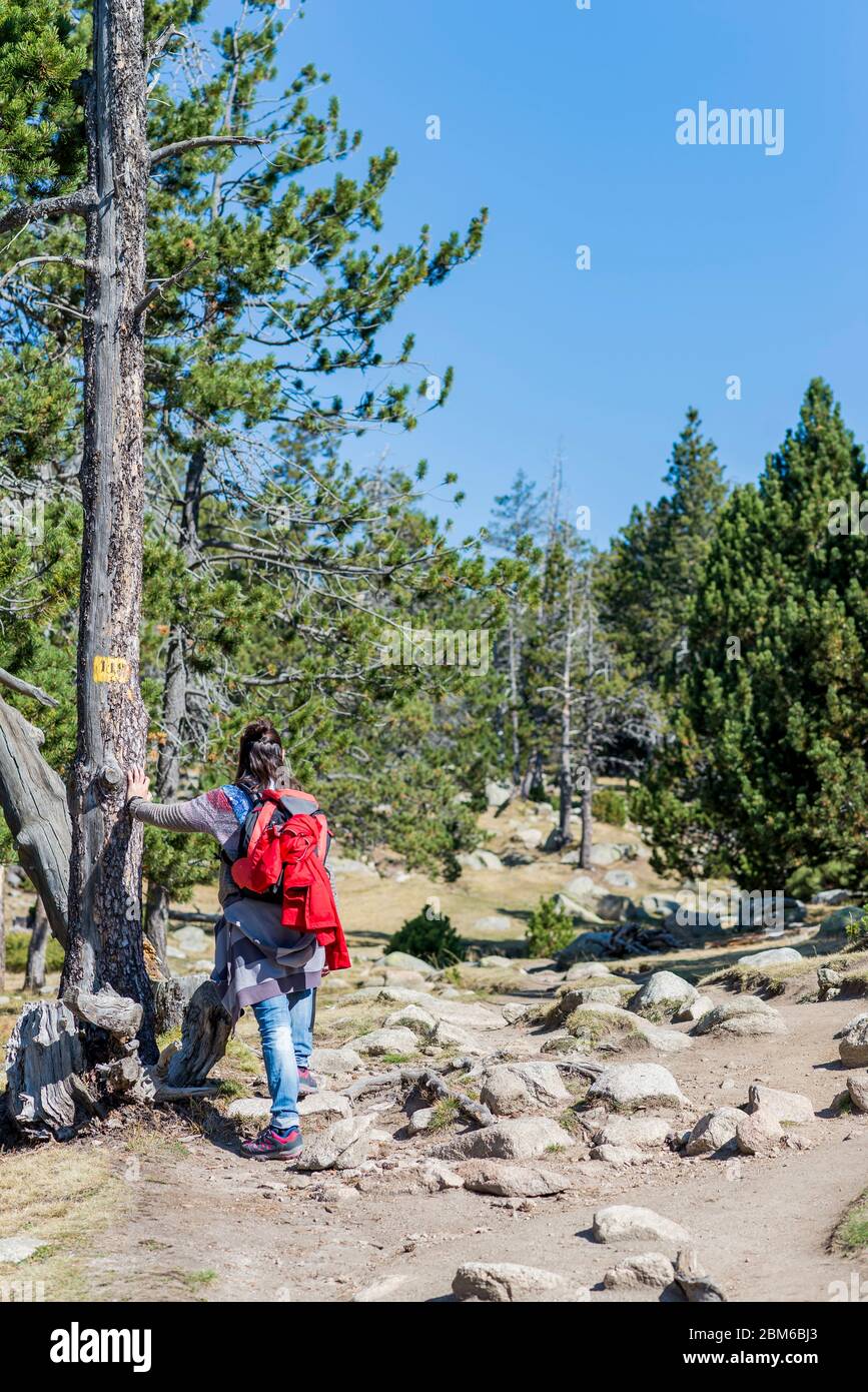 Rückansicht einer Backpacker-Frau, die in einem Waldweg steht und wegschaut Stockfoto
