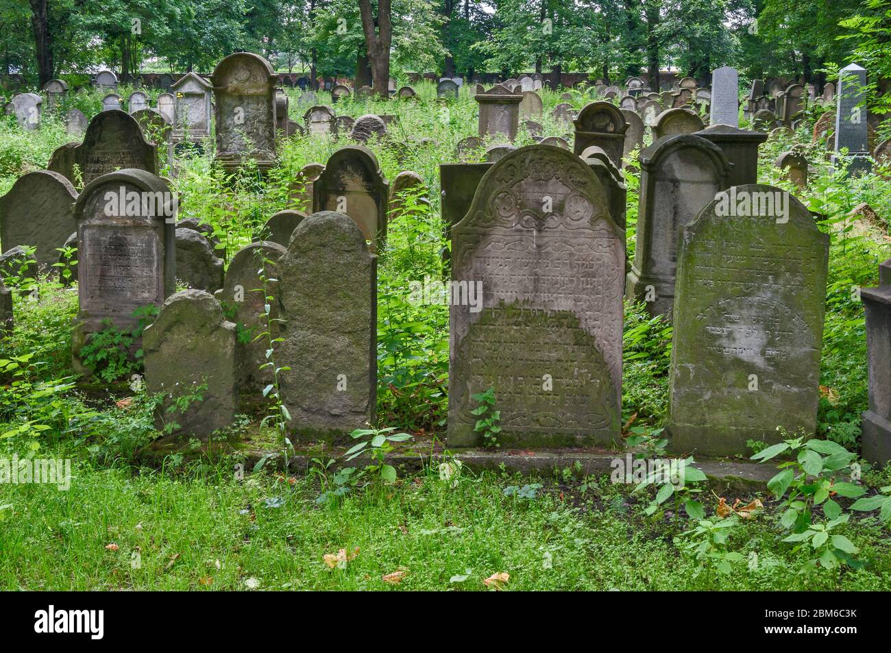 Grabsteine auf dem jüdischen Friedhof in Tarnow, Malopolska aka Kleinpolen Region, Polen Stockfoto