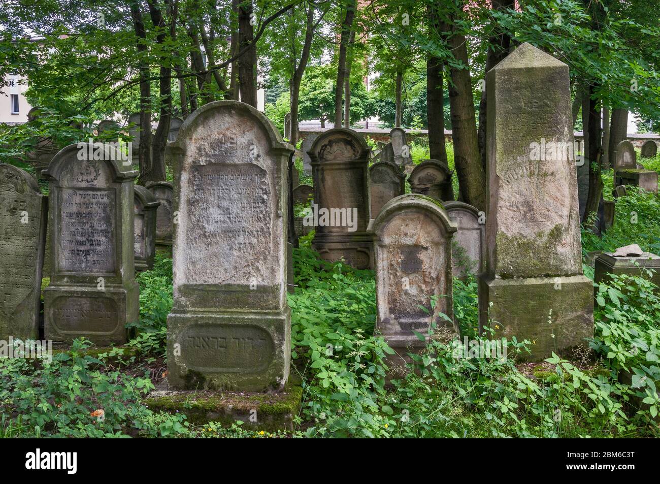 Grabsteine auf dem jüdischen Friedhof in Tarnow, Malopolska aka Kleinpolen Region, Polen Stockfoto