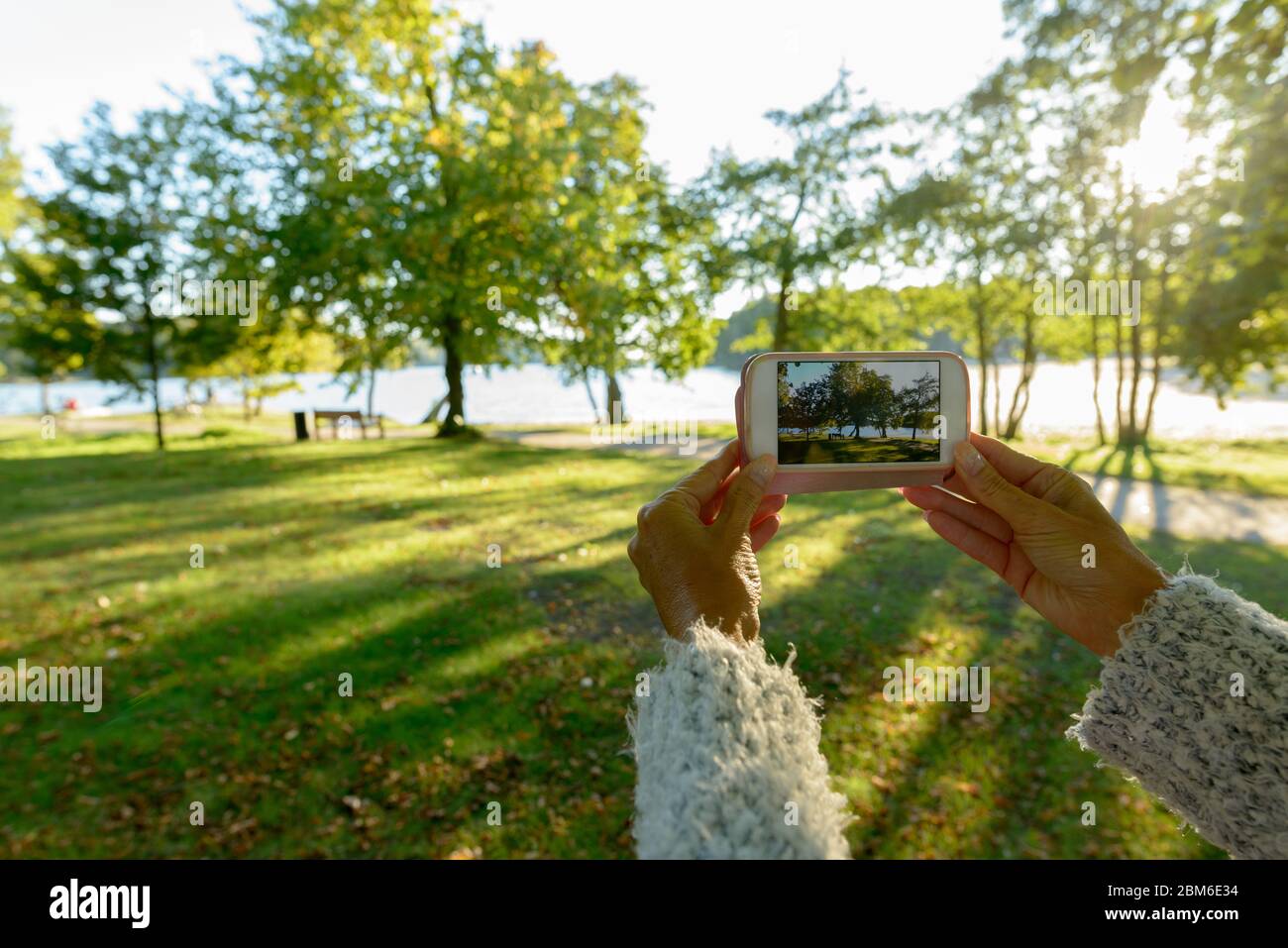 Hände der reifen Frau, die mit dem Telefon im Park fotografiert Stockfoto