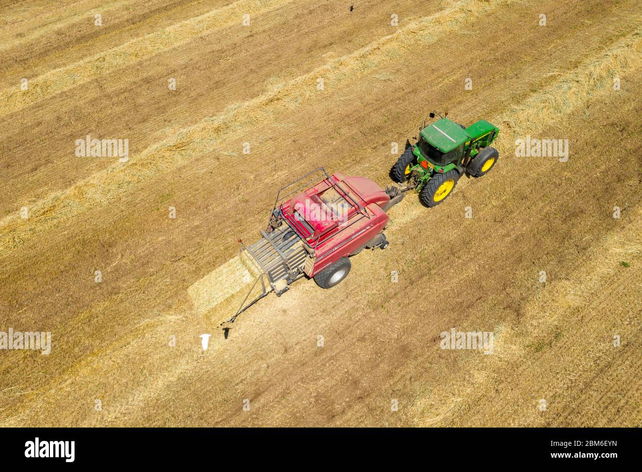 Ballenpresse, die einen Hay Bale entlädt, und eine riesige Gruppe von weißen Vögeln, Aerial. Stockfoto