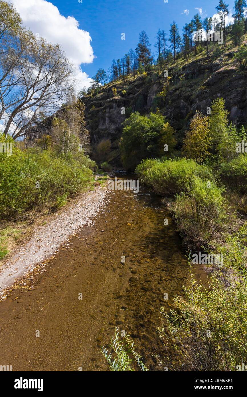 Gila River in Gila Cliff Dwellings National Monument, New Mexico, USA Stockfoto