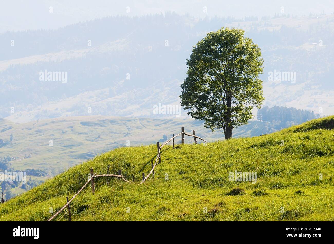 Sommerlandschaft mit einem Zaun und einem eineineineineinigen Baum auf einem Hügel. Bergdorf Stockfoto