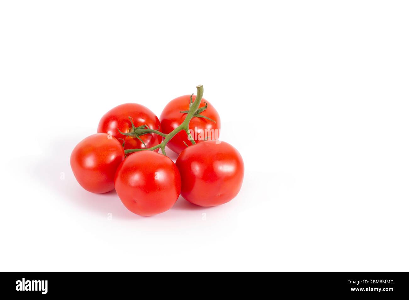 Frische Tomaten auf Zweig isoliert auf weiß. Zweig der köstlichen fünf Tomaten auf der linken Seite. Stock Foto, Seitenansicht. Zutaten zum Kochen. Gesund Stockfoto