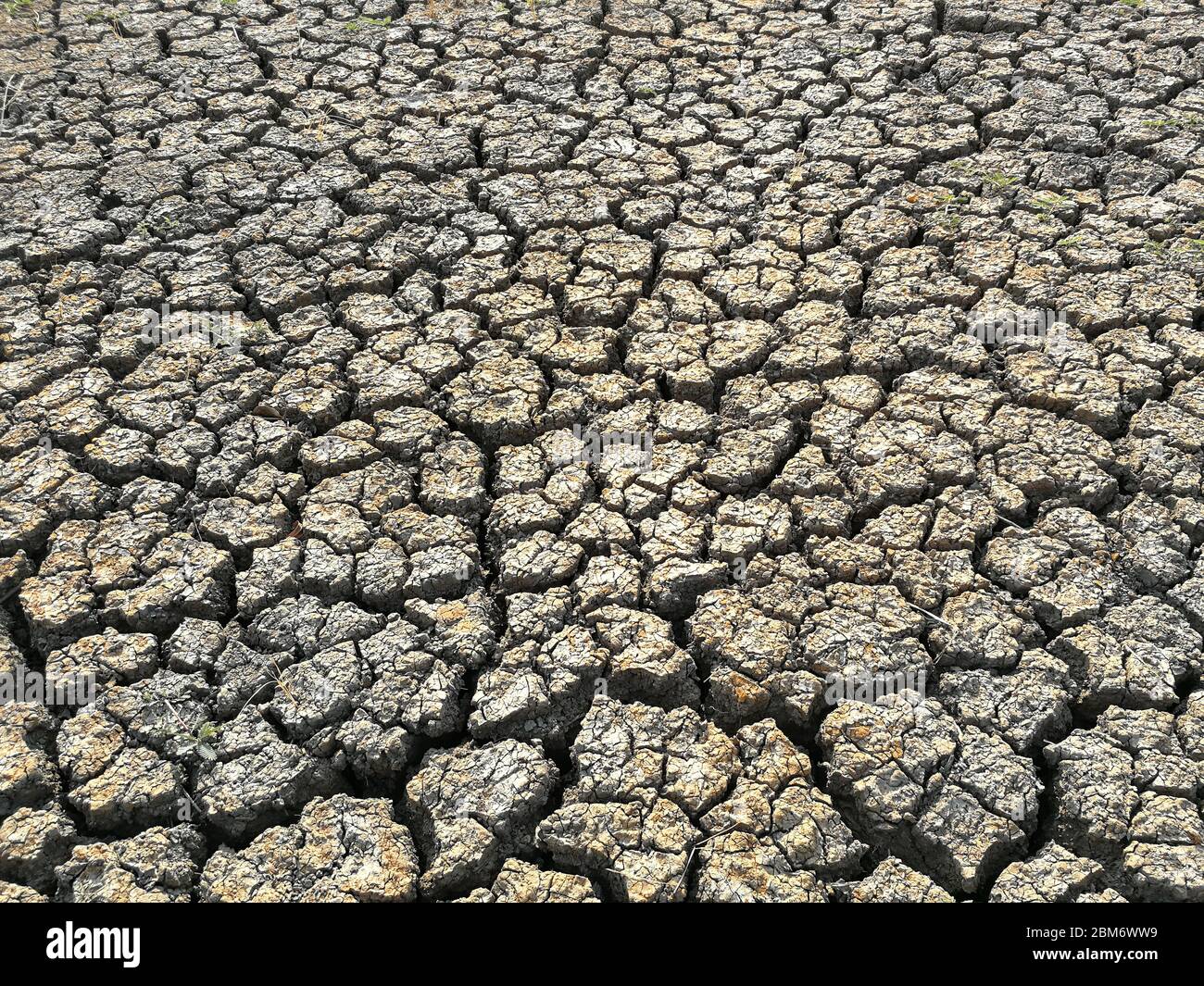 Trockene, rissige Erdung. Stockfoto