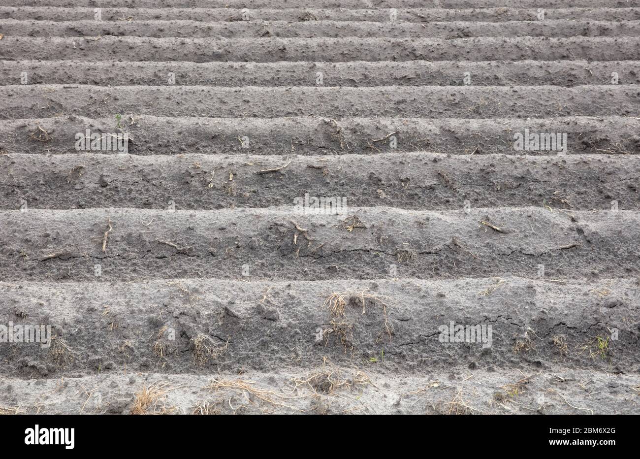 Ansicht von landwirtschaftlichen Flächen für die Aussaat vorbereitet, Ackerboden, Niederlande Stockfoto