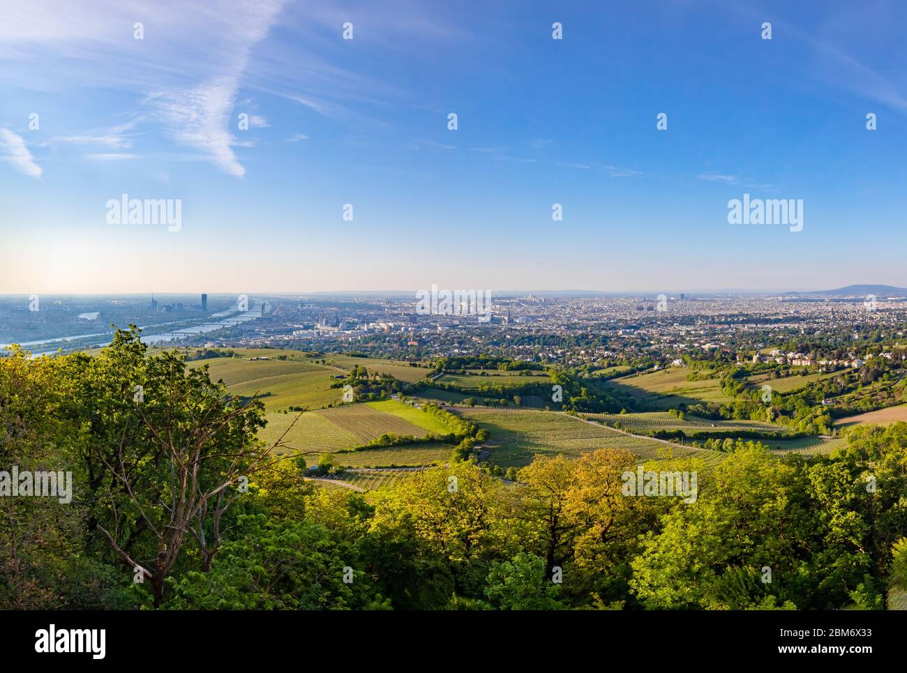 Panoramablick über Wien. Hauptstadt von Österreich in Europa. Blick auf die ganze Stadt von Kahlenberg. Stockfoto