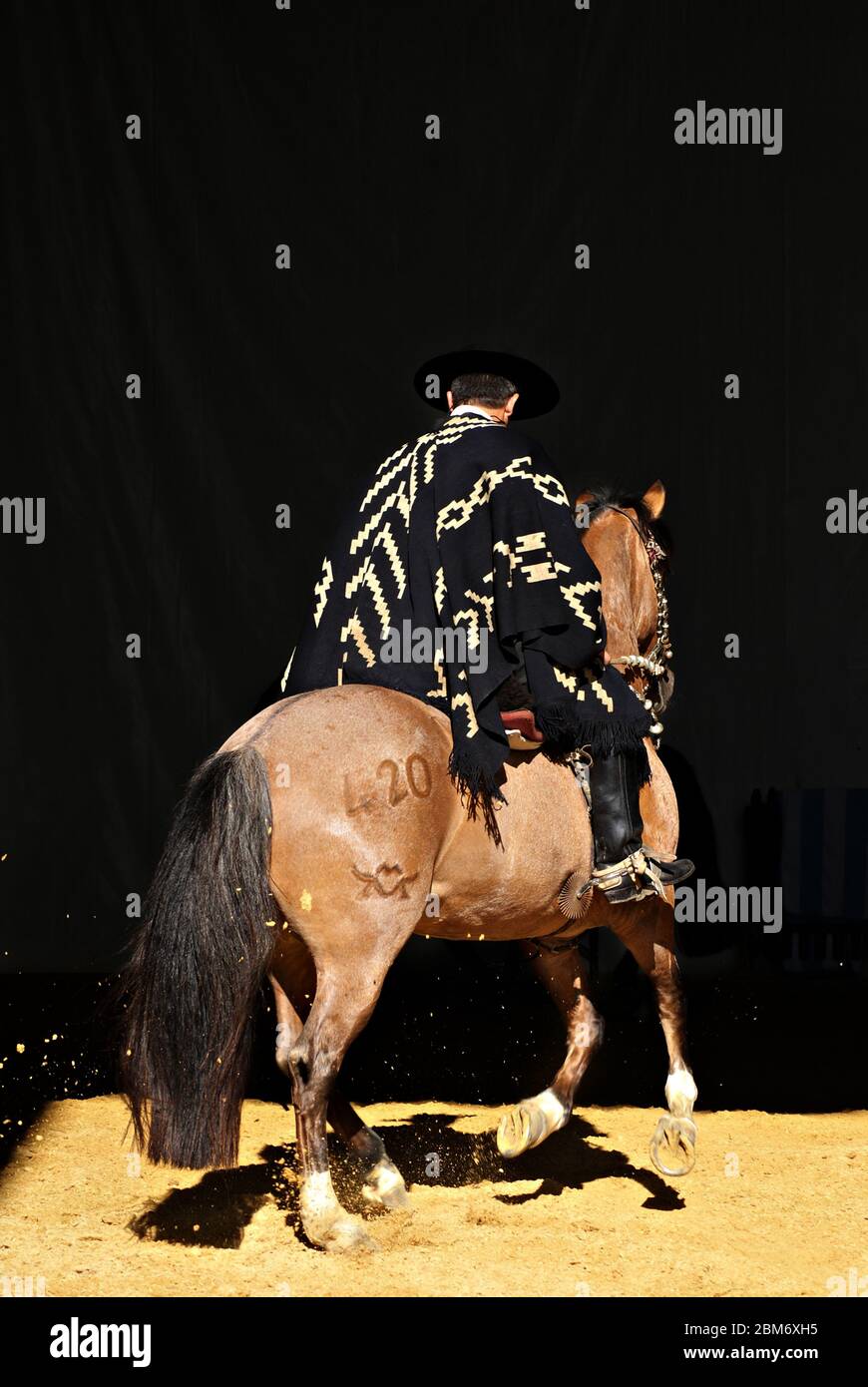 Gaucho in traditionellem Outfit, der im Dunkeln auf einem criollo Pferd reitet Stockfoto