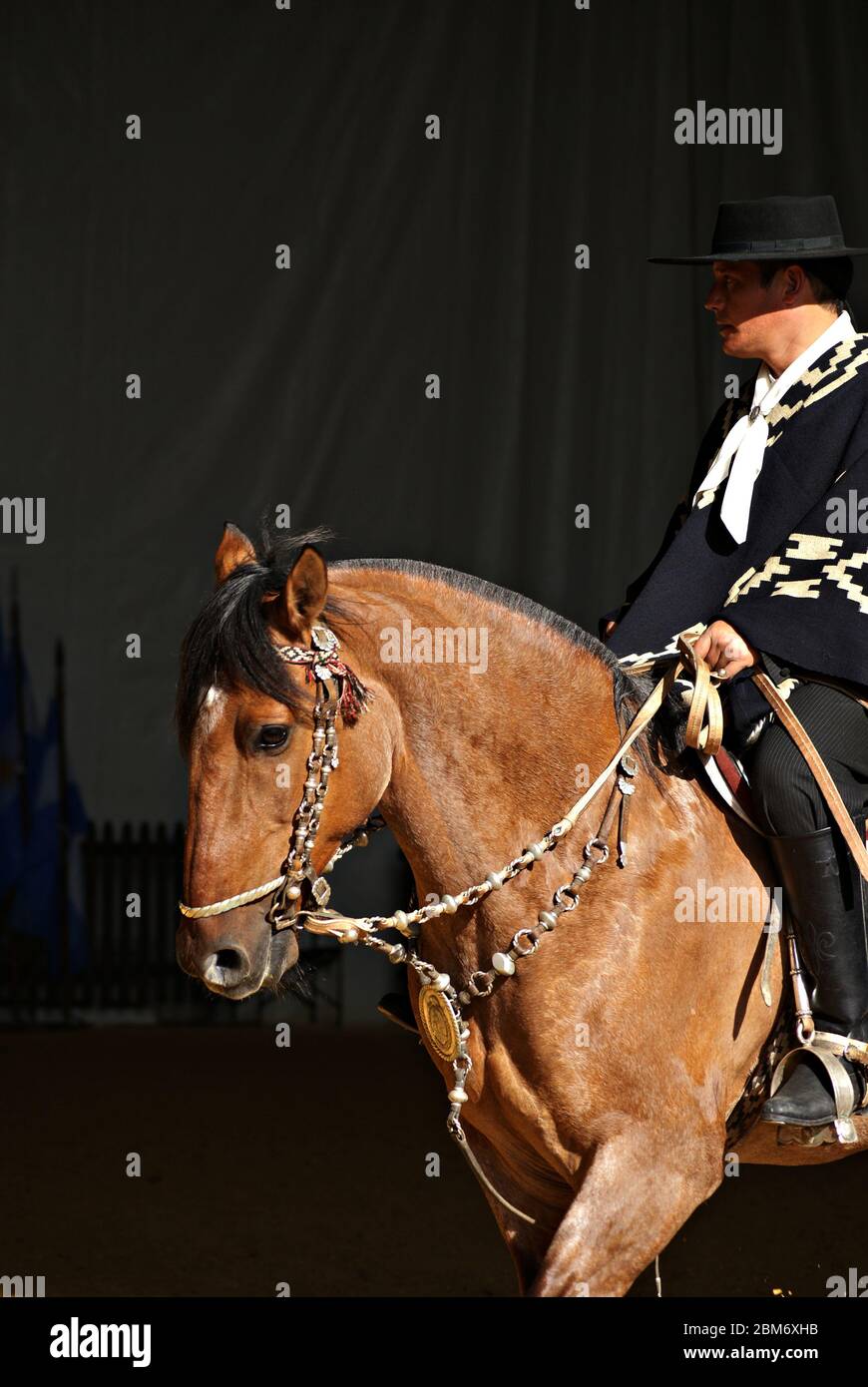 Gaucho in traditionellem Outfit, der im Dunkeln auf einem criollo Pferd reitet Stockfoto