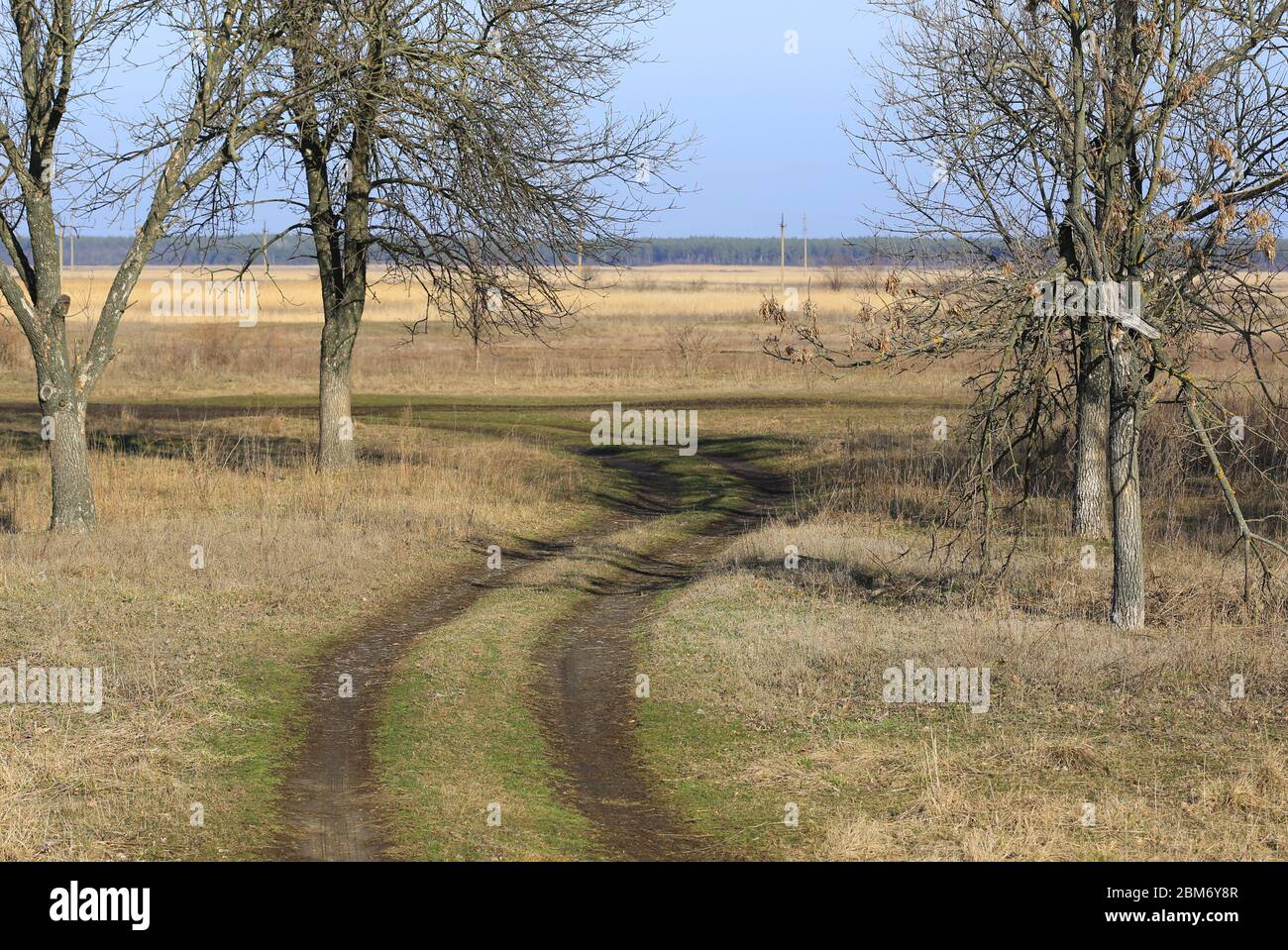 Landschaft mit Feldweg in der Frühjahrsteppe Stockfoto