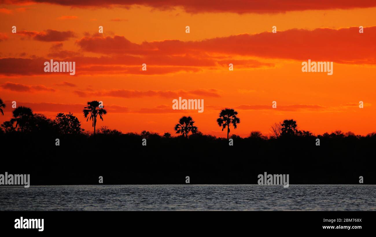 Dieses Foto wurde am Zambezi Fluss, Simbabwe, aufgenommen Stockfoto