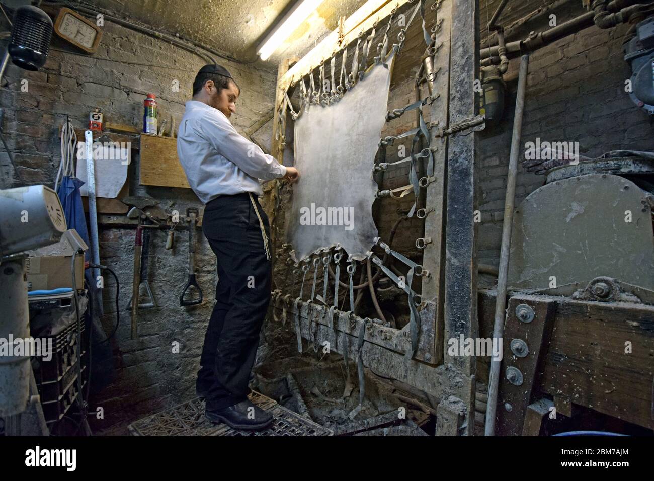 Ein Rabbi und Meister macht in seiner Kellerwerkstatt Pergament, um für religiöse Gegenstände verwendet zu werden. Stockfoto