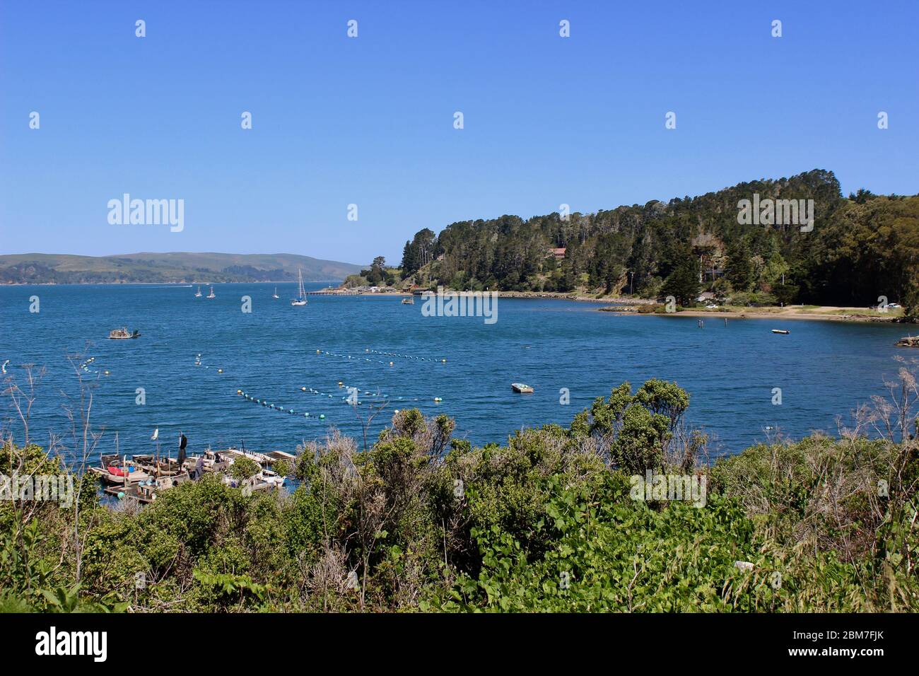 Tomales Bay in Marshall, Kalifornien Stockfoto
