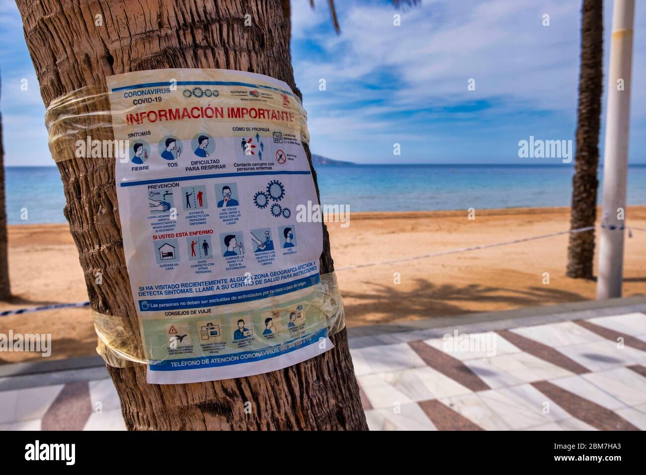 Benidorm, Alicante Spanien, 4.5.2020, Corona Krise: Informationen über Hygiene und Sicherheit auf einem Plakat auf einem Baum an der Promenade von Playa Levante Stockfoto