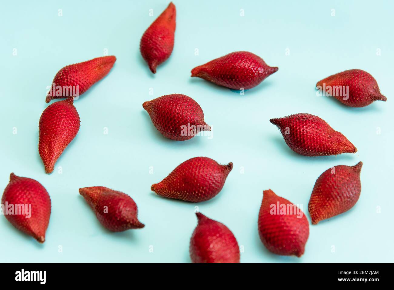 Salak tropische Schlange Frucht auf blauem Hintergrund Draufsicht Stockfoto