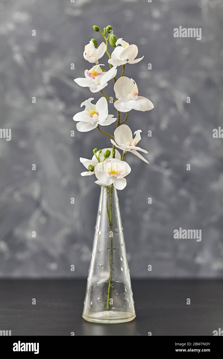 Schöne Orchideen in Glasvase auf schwarzem Tisch. Nahaufnahme  Stockfotografie - Alamy