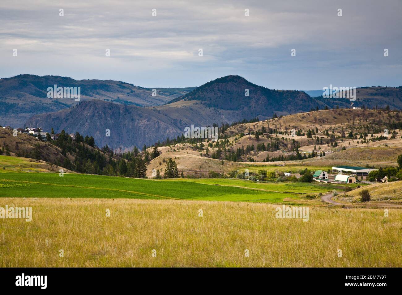 Bewässerte Felder in einer trockenen Landschaft, in der Nähe von Kamloops, British Columbia, Kanada Stockfoto