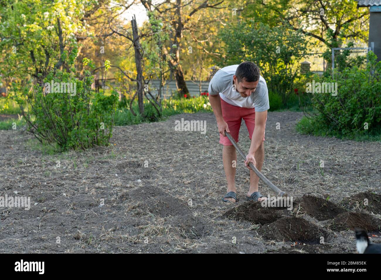 Junger Gelegenheitsmann, der mit einer Hacke im Boden arbeitet Stockfoto