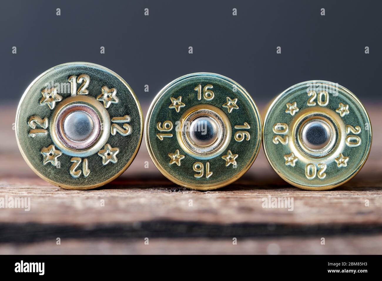 Selektives Targeting von 12,16 und 20 Gauge Schrotflinte Patronen für die Jagd verwendet, auf einem Holztisch Stockfoto
