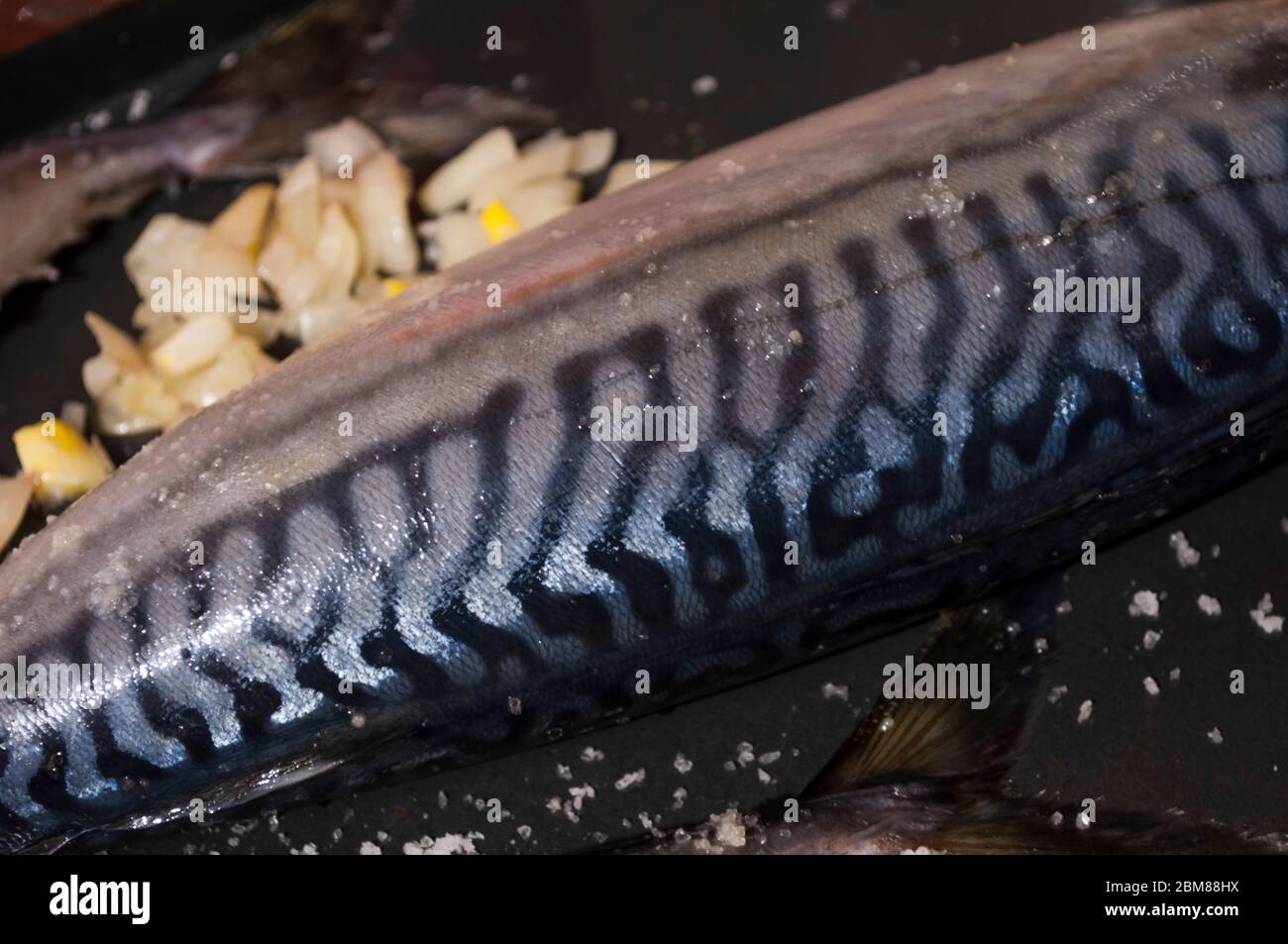 Makrele mit Zwiebeln vor dem Ofen Nahaufnahme, auf schwarzem Hintergrund Stockfoto