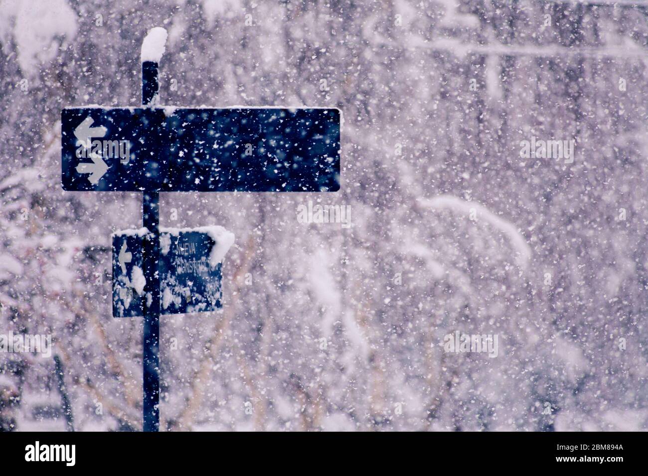 Blaues Schild mit Pfeilen mitten im Schneefall von Bariloche Argentina. Das Schild sagt Neue Verfassung. Stockfoto