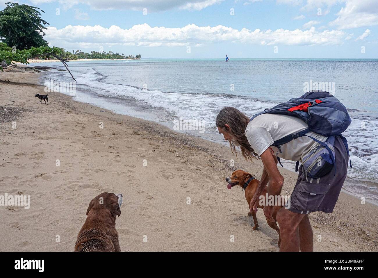 Steve Tamar, stellvertretender Vorsitzender der Surfrider Foundation, testet jede Woche Wasserproben, die er sammelt. Seine Ergebnisse deuten auf einen Anstieg der Bakterien in Fäkalien gefunden und Abwasser tötet eine Art von Korallen, die bereits fast ausgestorben ist. (Coraly Cruz Mejías, GPJ Puerto Rico) Stockfoto