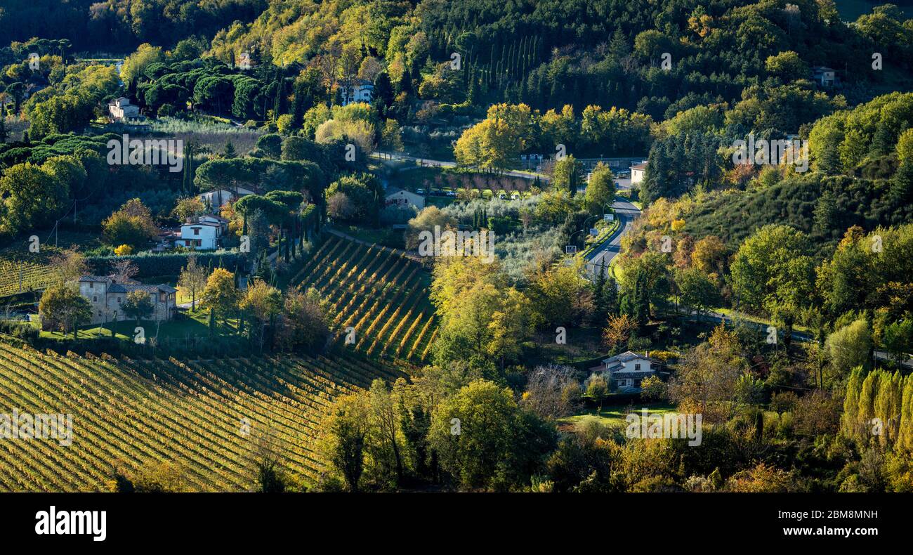 Herbstfärbung in Bäumen und Weinbergen unterhalb der Stadt Montepulciano, Toskana, Italien Stockfoto
