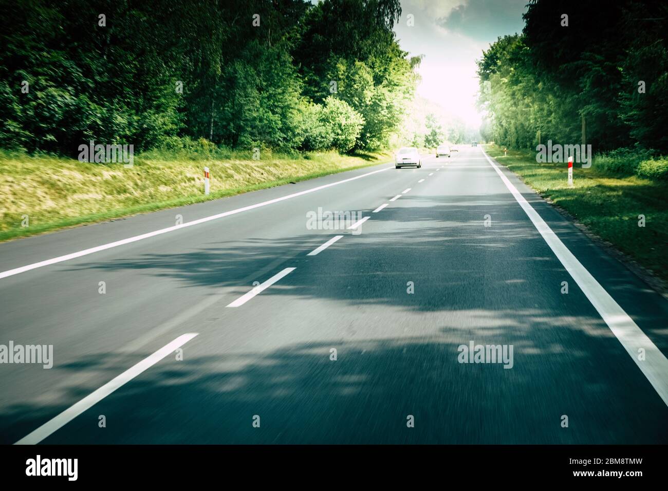 Einbahnige Straße im Wald Stockfoto