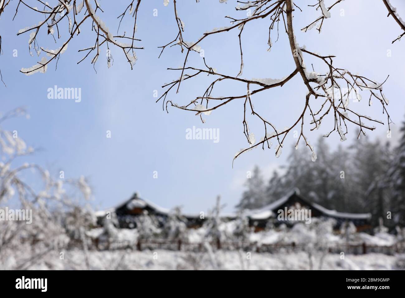 Schöne Winterlandschaft in Korea Stockfoto