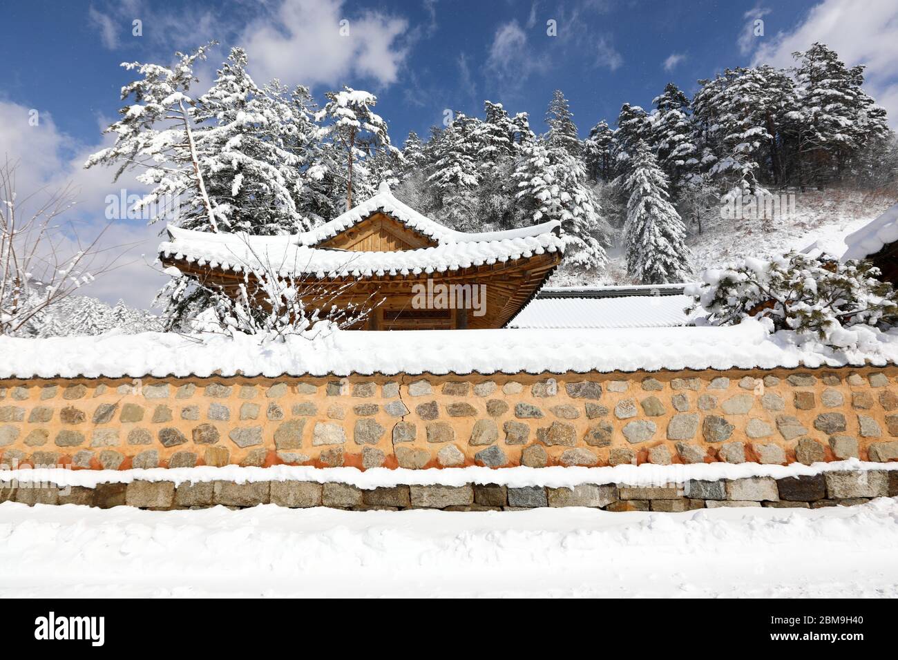 Schneebedeckte koreanische traditionelle Steinmauer und Dachziegel. Woljeongsa buddhistischer Tempel, Gangwon-do, Korea. Stockfoto