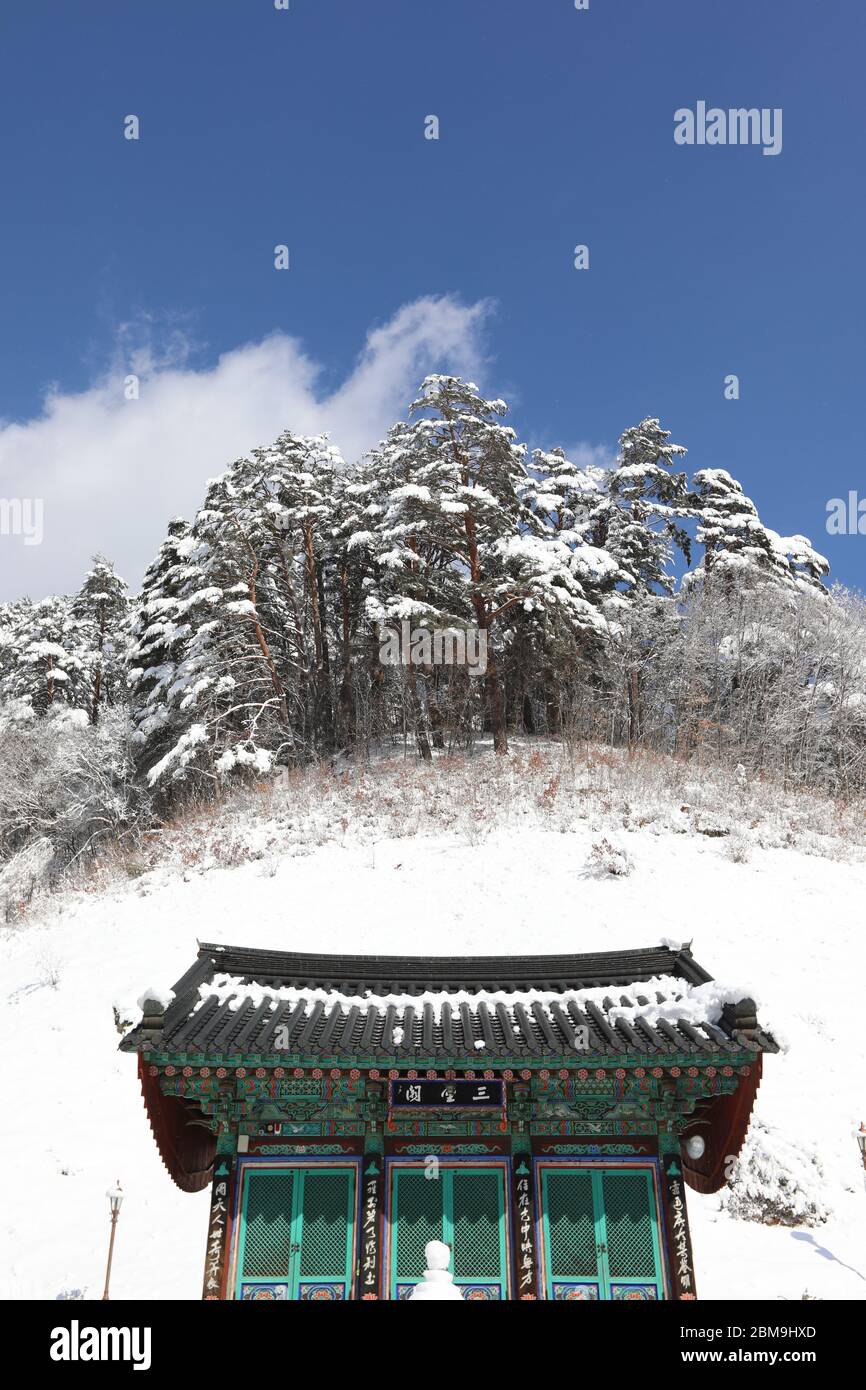 Woljeongsa, ein buddhistischer Tempel, bedeckt mit Schnee. Gangwon-do, Korea. Samsunggak, Übersetzung des chinesischen Textes Stockfoto