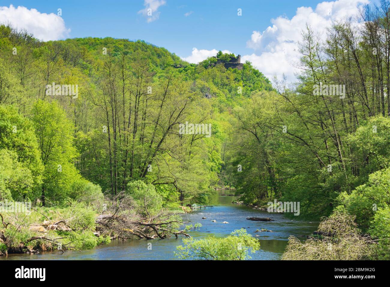 Hardegg: Thaya, Blick auf die Burgruine Neuhäusl, Thaya River National Park Thayatal - Podyji, im Weinviertel, Niederösterreich, Niederösterreich, Aust Stockfoto