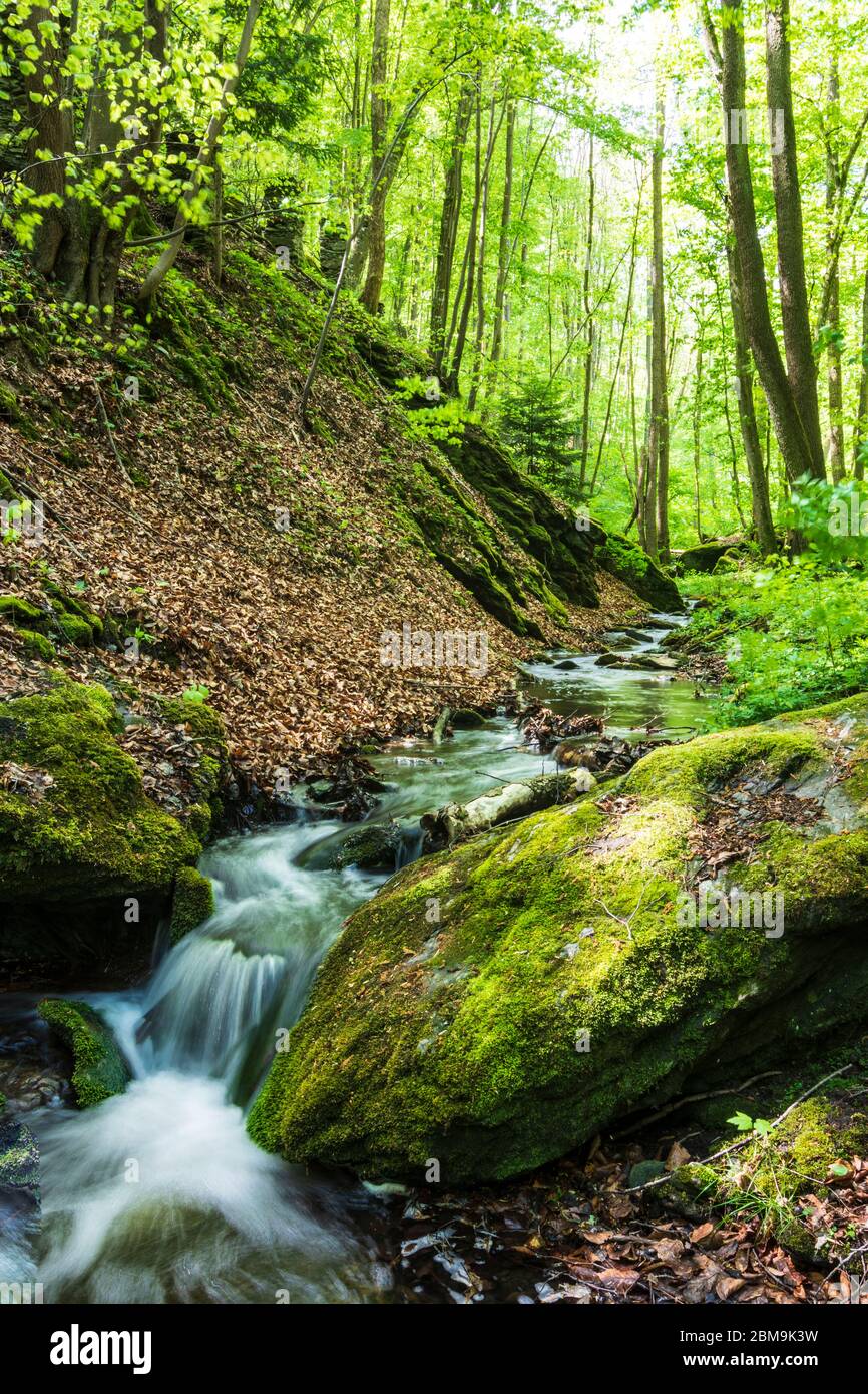 Hardegg: Bach Kajabach, Thaya River National Park Thayatal - Podyji, in Weinviertel, Niederösterreich, Niederösterreich, Österreich Stockfoto