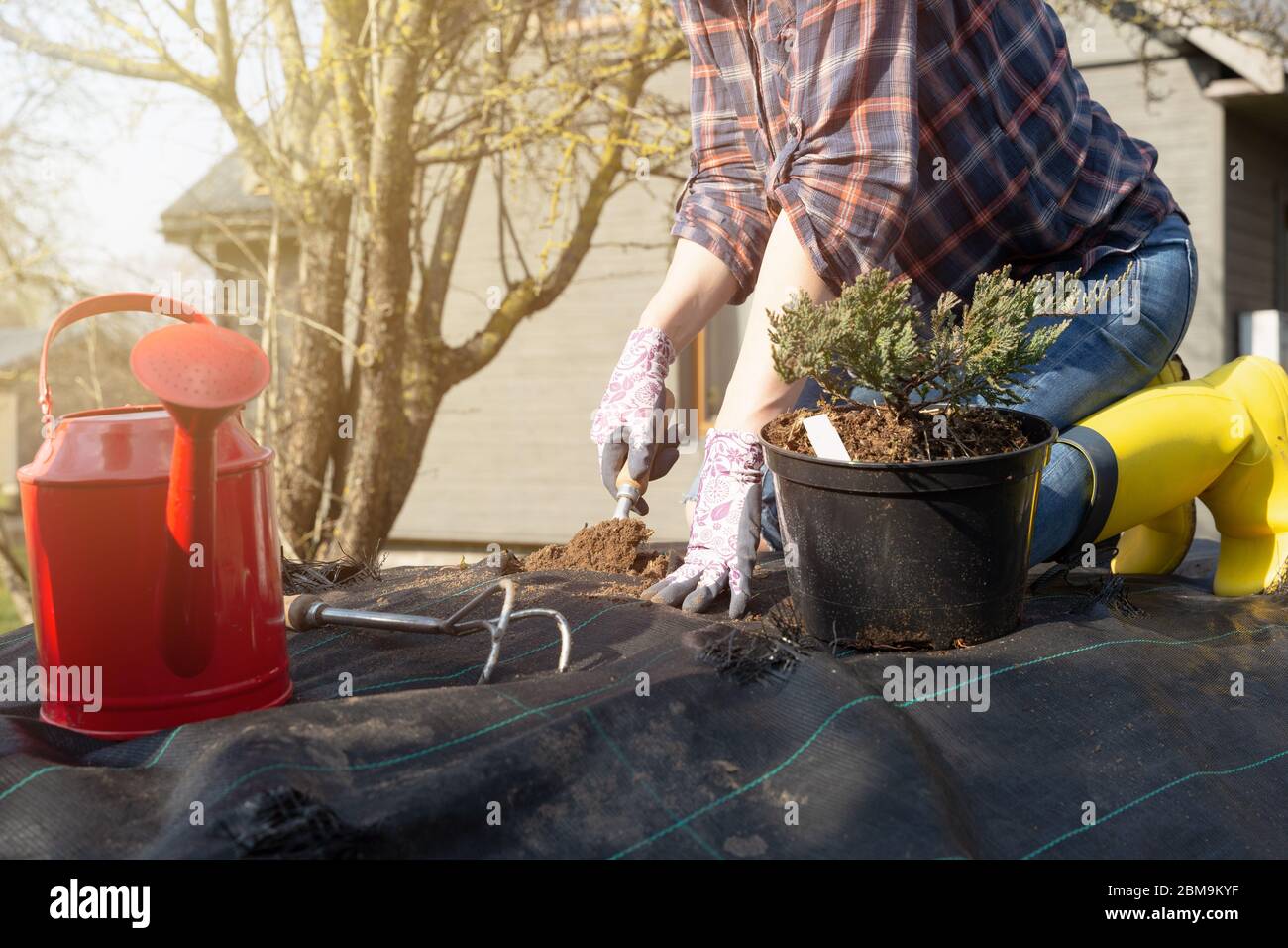 Frauen überzug Baum in einem Garten. Haus Garten und Verbesserung Konzept Stockfoto