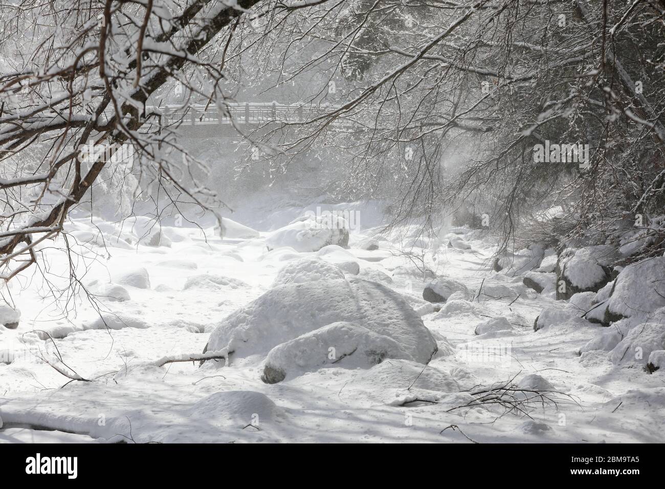 Schöne Winterlandschaft, schneebedeckte Bäume und Brücken. Korea Stockfoto