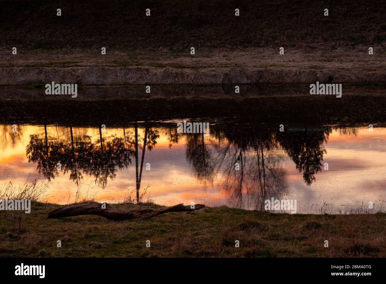 Der helle Sonnenuntergangshimmel und die schwarzen Silhouetten der Bäume spiegeln sich im Fluss. Stockfoto