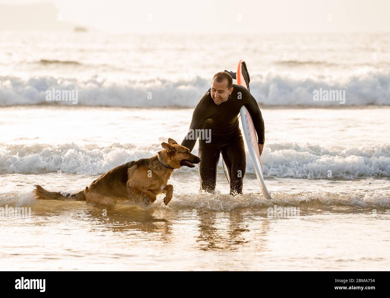 Surfer Spaß mit besten Freund deutschen Schäferhund laufen und spielen auf hundefreundlichen Strand bei Sonnenuntergang. Sommer Spaß Surfen Urlaub mit Ihrem Hund, Haustier Stockfoto