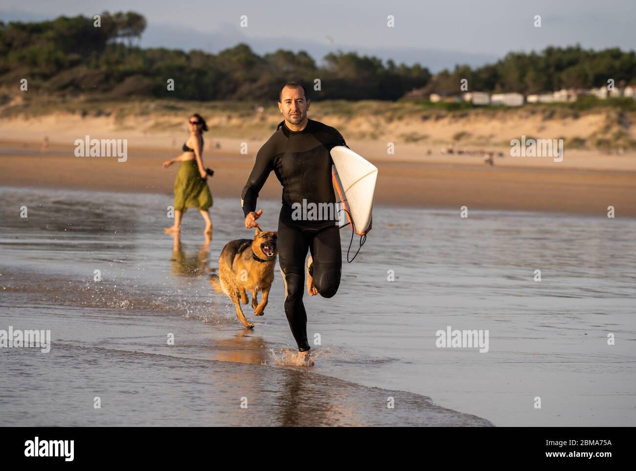 Surfer Spaß mit besten Freund deutschen Schäferhund laufen und spielen auf hundefreundlichen Strand bei Sonnenuntergang. Sommer Spaß Surfen Urlaub mit Ihrem Hund, Haustier Stockfoto