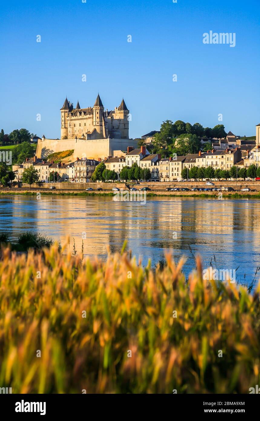 Blick auf Schloss und Loire, Saumur, Main-et-Loire, Frankreich, Europa Stockfoto