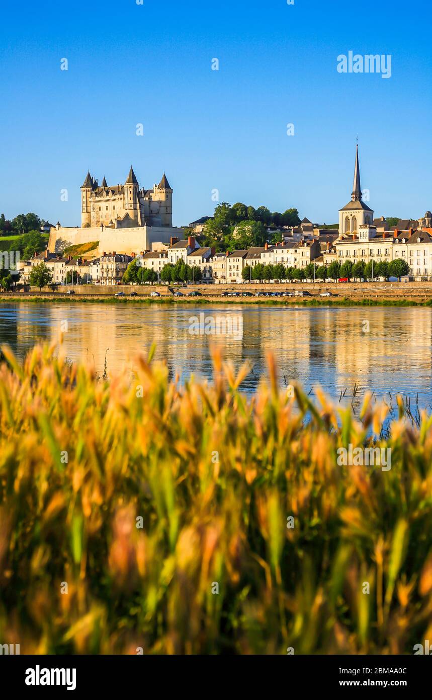 Blick auf Schloss und Loire, Saumur, Main-et-Loire, Frankreich, Europa Stockfoto