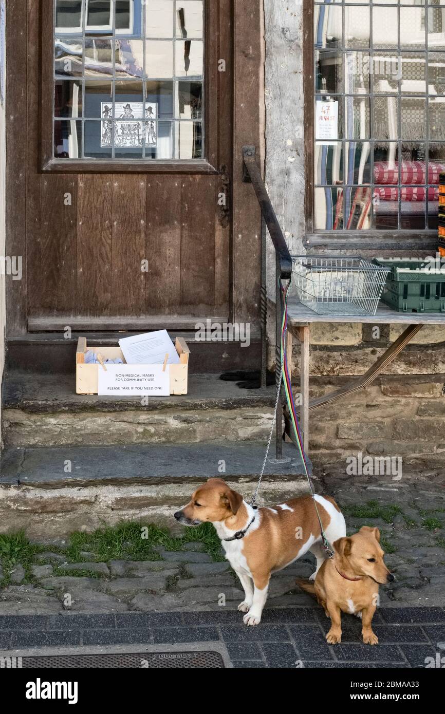 Zwei Hunde warten vor einem Laden neben einer Schachtel mit kostenlosen Gesichtsmasken (von lokalen Freiwilligen hergestellt), die für jeden in Presteigne, Powys, Wales, Großbritannien, zur Verfügung stehen Stockfoto