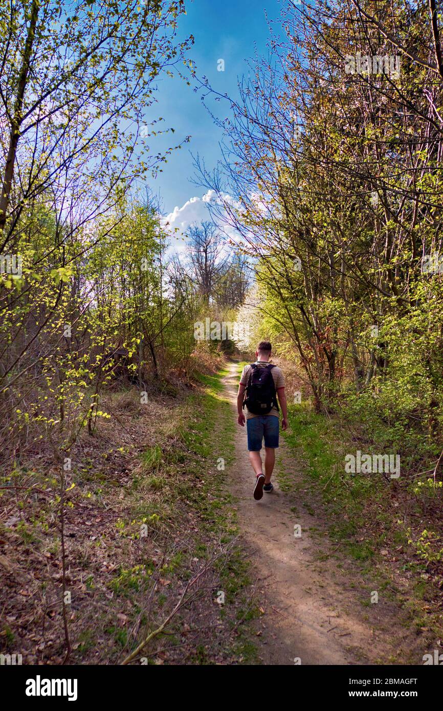 Wanderer im Frühlingsholz, Deutschland, Nordrhein-Westfalen, Hagen-Hohenlimburg Stockfoto