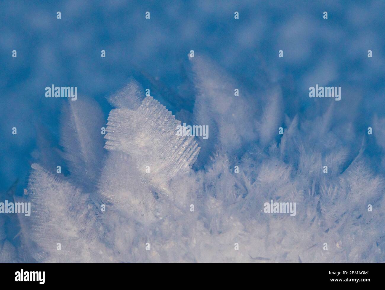 Weiche Schneekristalle, Norwegen, Tromsoe Stockfoto