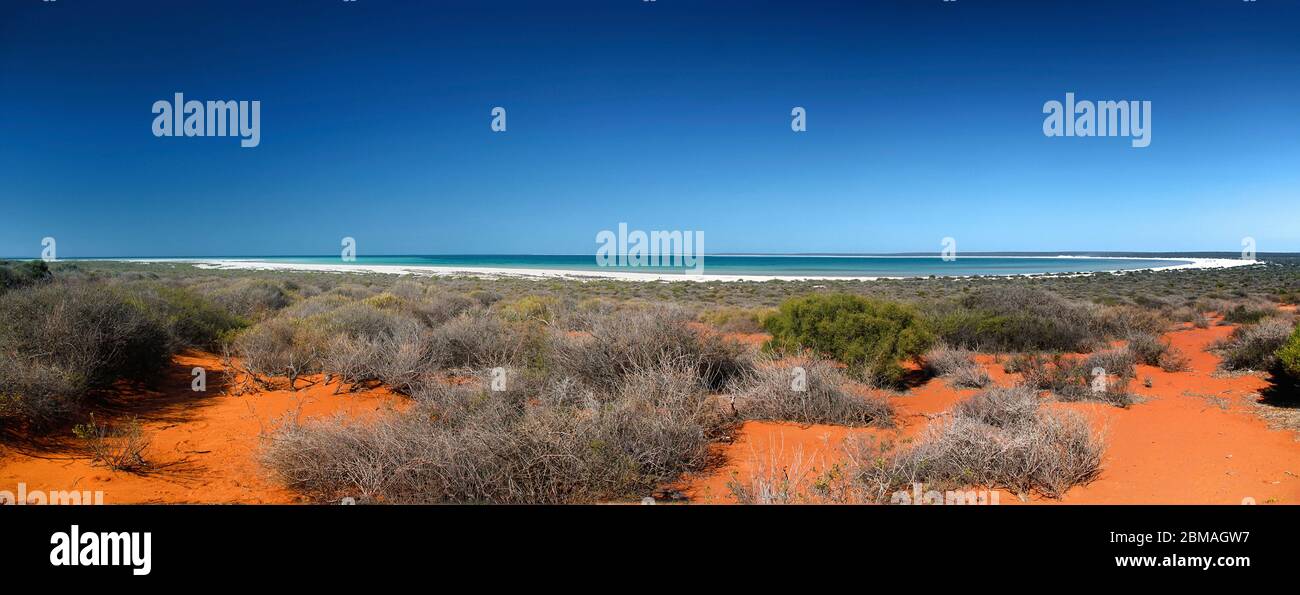 Shark Bay, Australien, Shark Bay Stockfoto