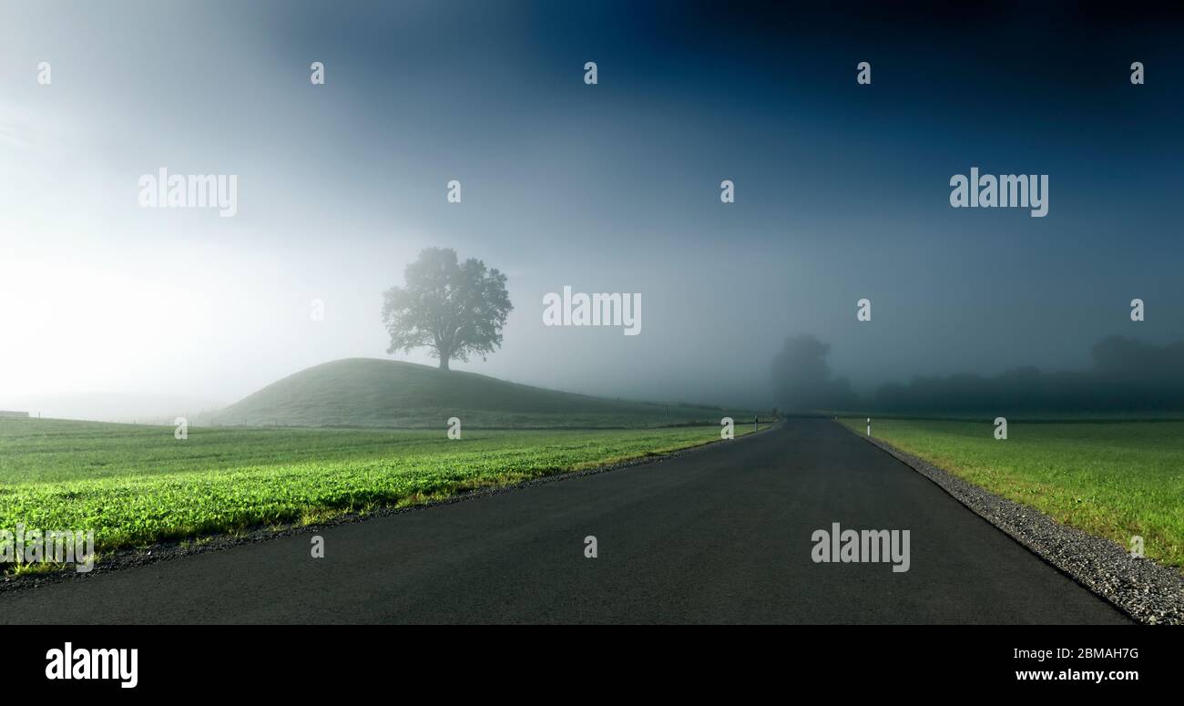 Landstraße mit Nebel bei Sonnenuntergang, Deutschland, Bayern Stockfoto
