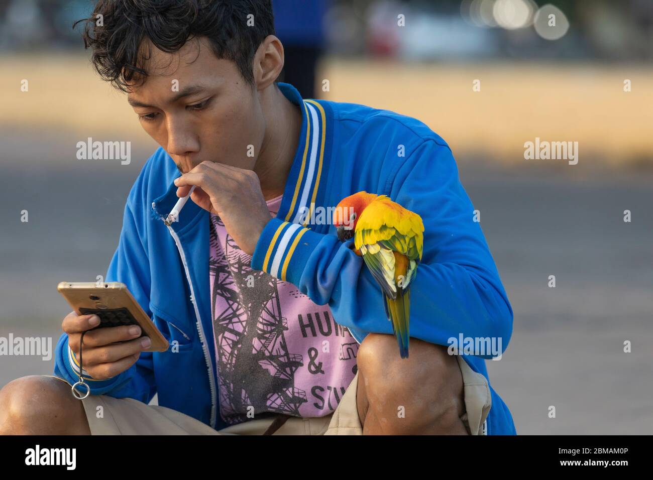Yogyakarta, Indonesien - 16. Juli 2019: Ein Junge raucht eine Zigarette, während er sein Handy mit seinen Lovebirds auf dem Alun Alun Utara herumspielt. Stockfoto