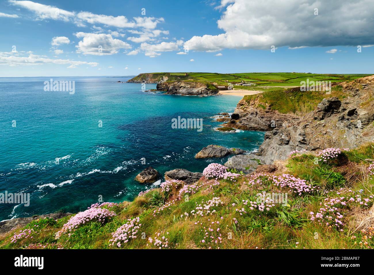 Frühling entlang der Küste von Cornwall in Church Cove, der Lizard Peninsula Stockfoto