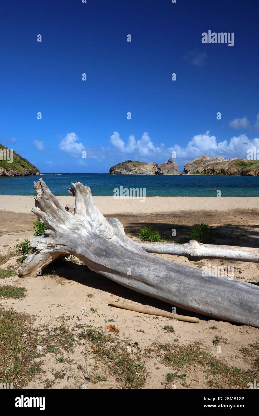 Guadeloupe Natur. Strand von Pompierre (Plage de Pompierre) auf der Insel Terre de Haut. Stockfoto