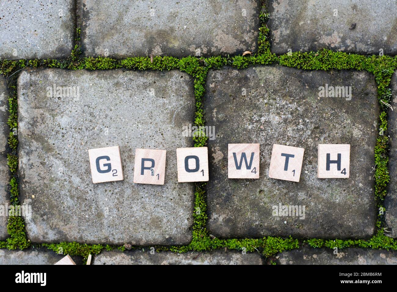 Wachstumswort in Blockbuchstaben Stockfoto